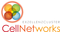 CellNetworks