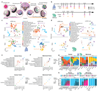 Graphical Abstract