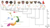 The molecular evolution of spermatogenesis across mammals